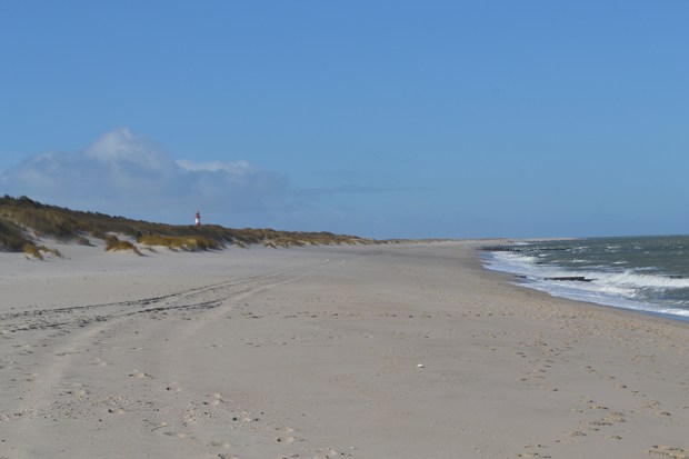 BWF Düne Ellenbogen 120dpi