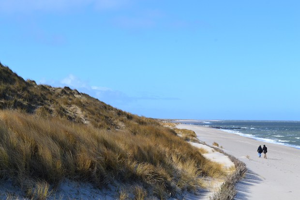 BWF Düne Ellenbogen 2 120dpi