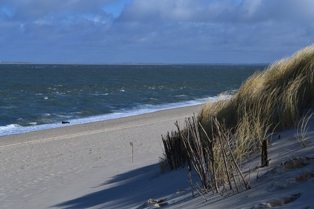 BWF Düne Ellenbogen 3
