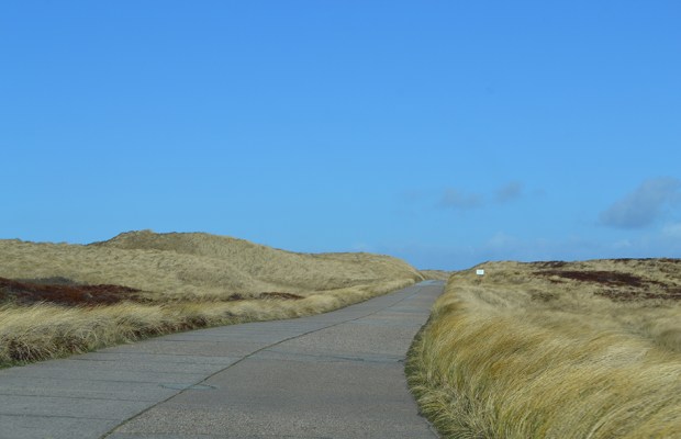 BWF Düne Ellenbogen