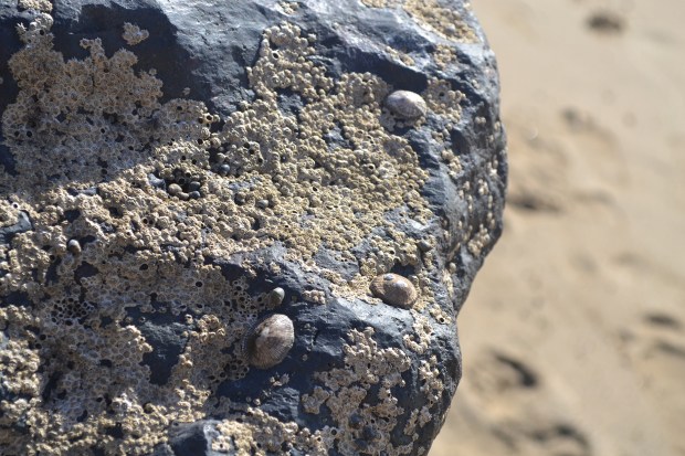 BWF La Pared 120dpi DSC_0010