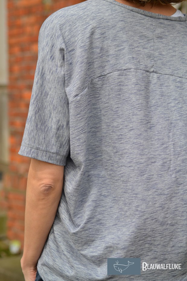 Blauwalfluke Freuleins Jolanda 120dpi DSC_0653