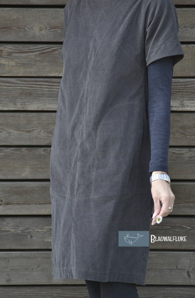 Blauwalfluke The Assembly Line Cap Sleeve Dress 120dpi DSC_0574